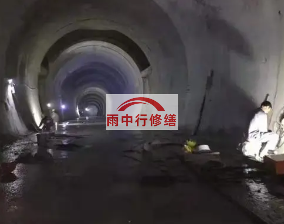 大渡口隧道堵漏方案（技术篇）