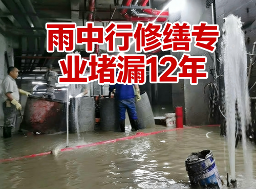 大渡口地下室防水堵漏案例